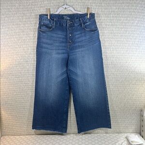 Time and Tru Dark Blue High Rise Flare Jeans